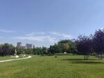 綠意盎然的公園美景