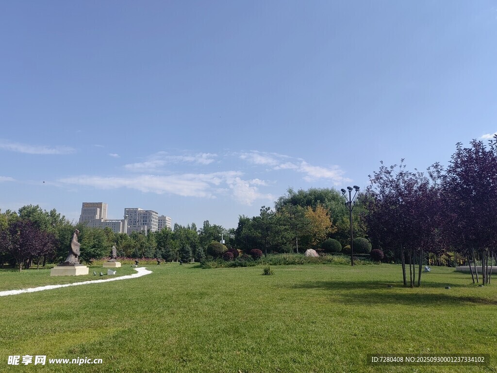綠意盎然的公園美景