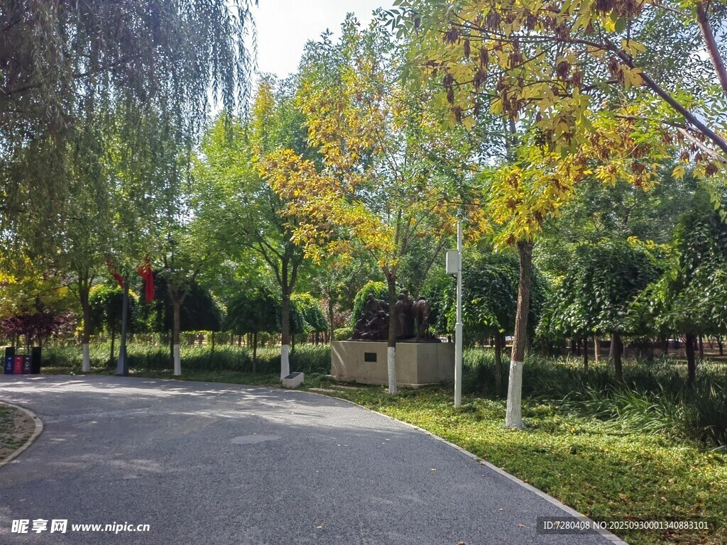 秋日公園林蔭小道美景