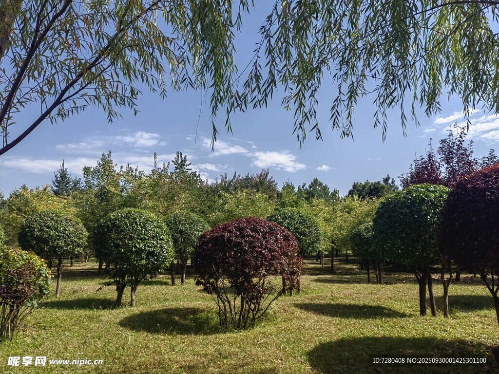 美麗園林景觀綠意盎然