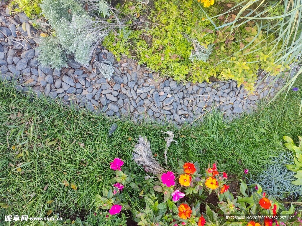 多彩花園中的繽紛花卉