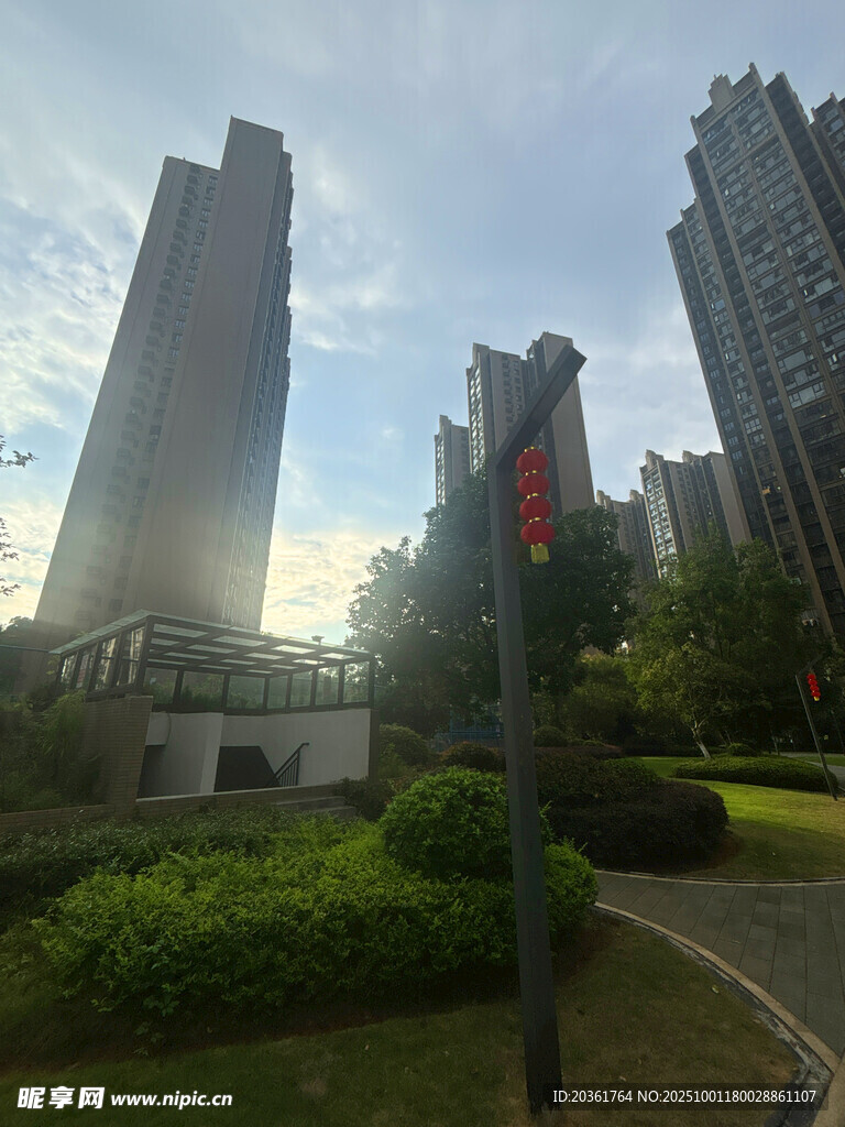 城市高樓旁的綠植景觀