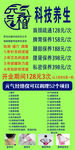 科技養(yǎng)生項目宣傳海報
