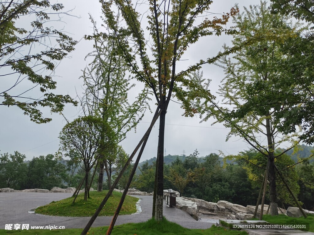 公園綠樹成蔭的休閑場景