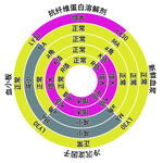 植物營養(yǎng)元素功能示意圖