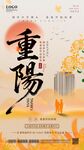 重陽佳節(jié)海報(bào)設(shè)計(jì)