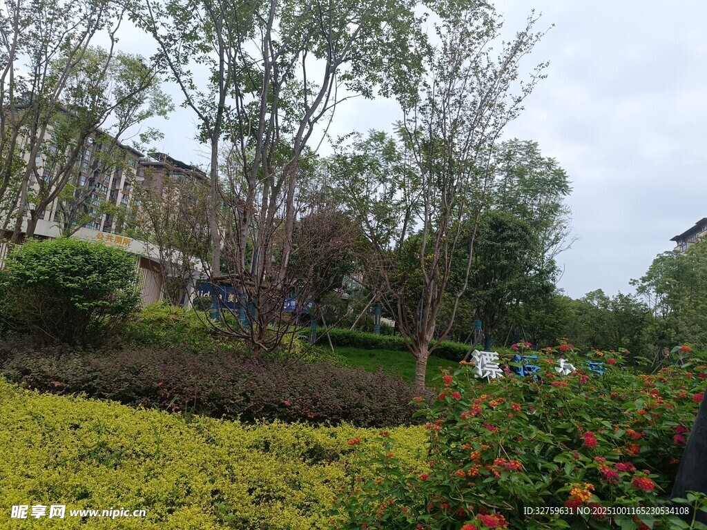 美麗園林景觀