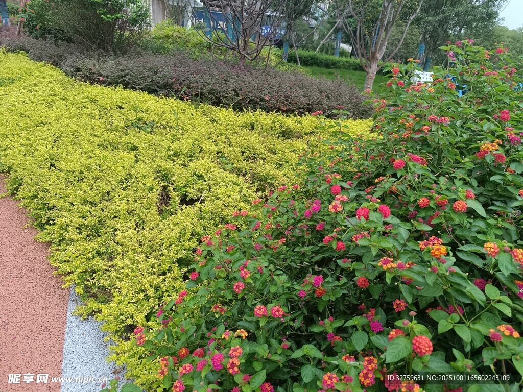 多彩花卉綠植景觀