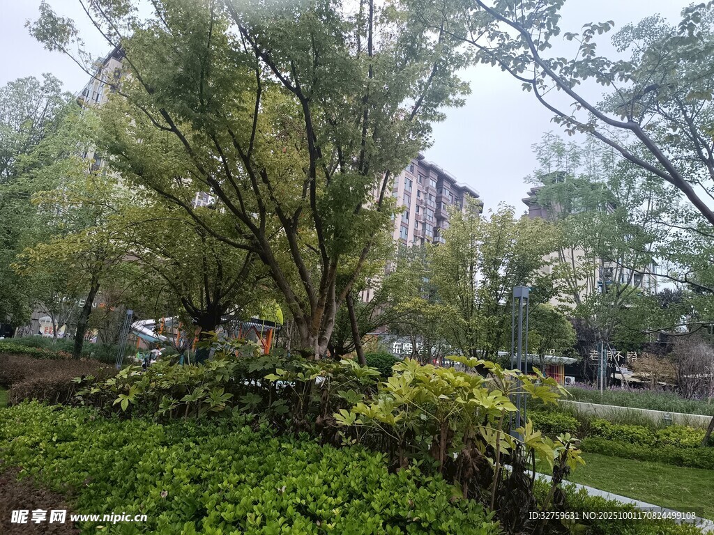 城市中的綠意盎然景觀