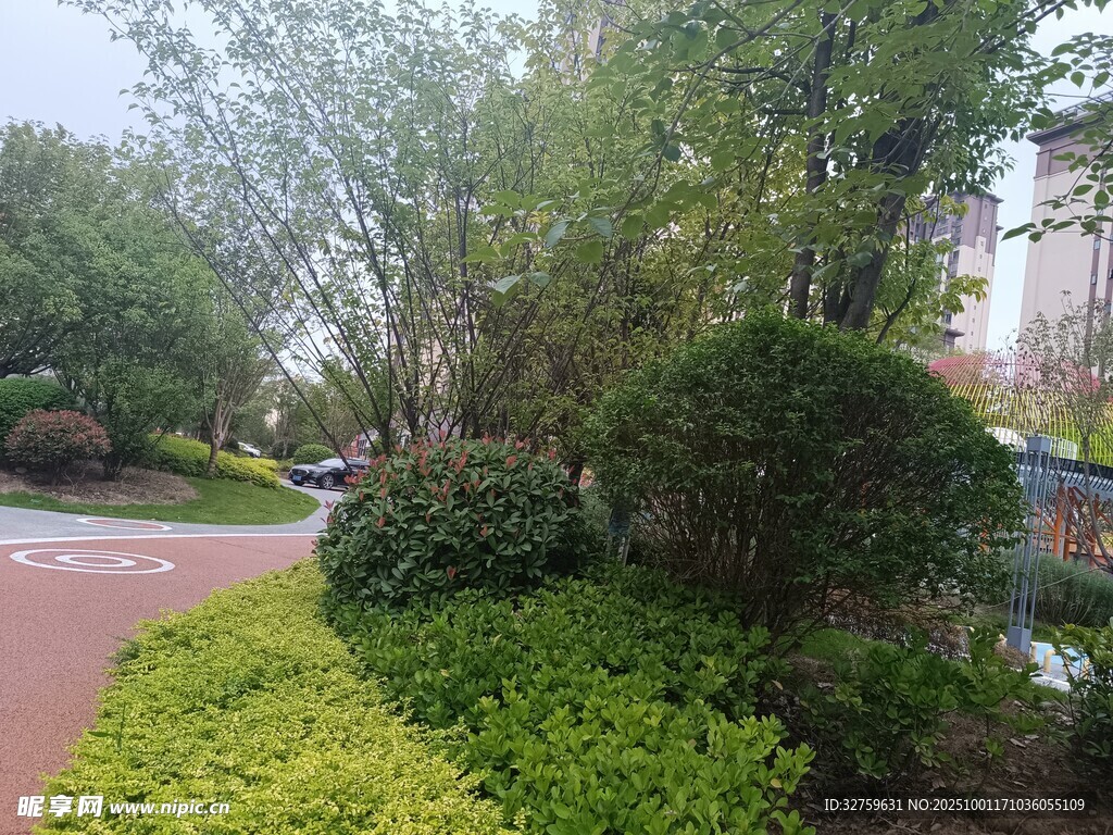 城市公園綠植景觀一角