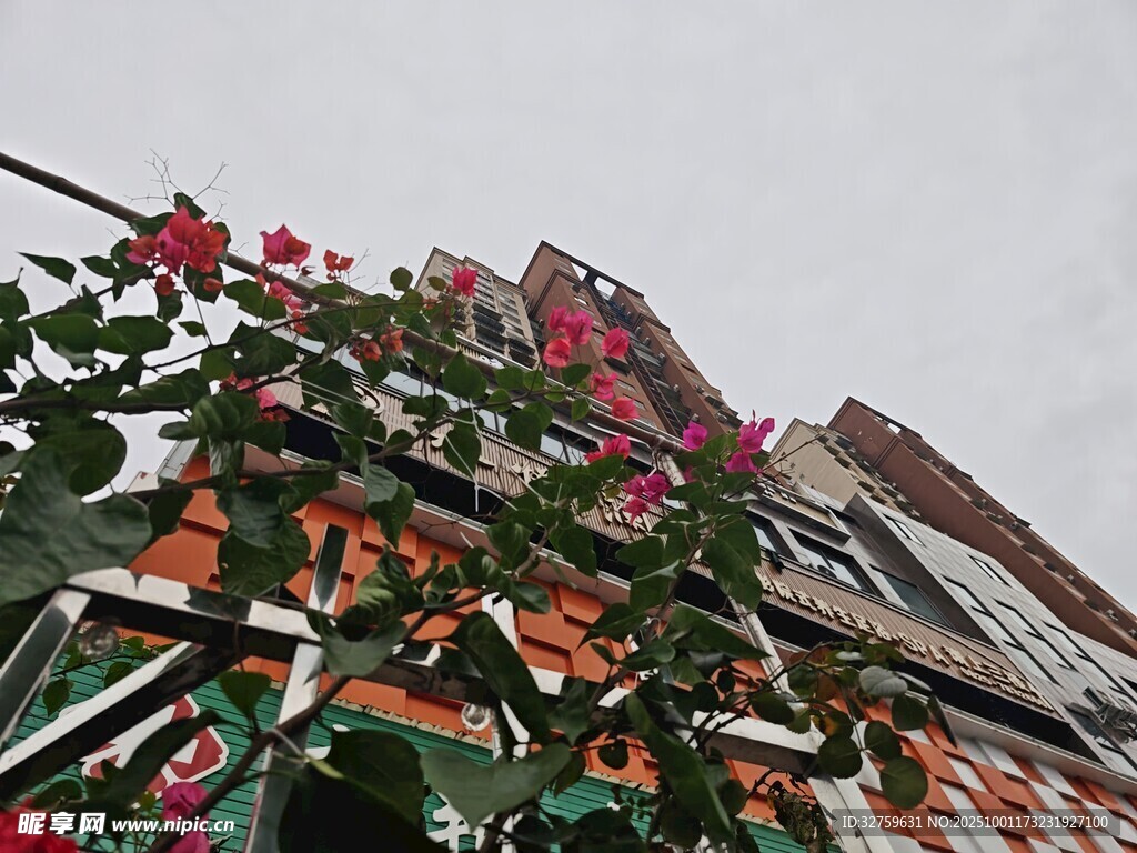 街頭裝飾的艷麗花卉景觀