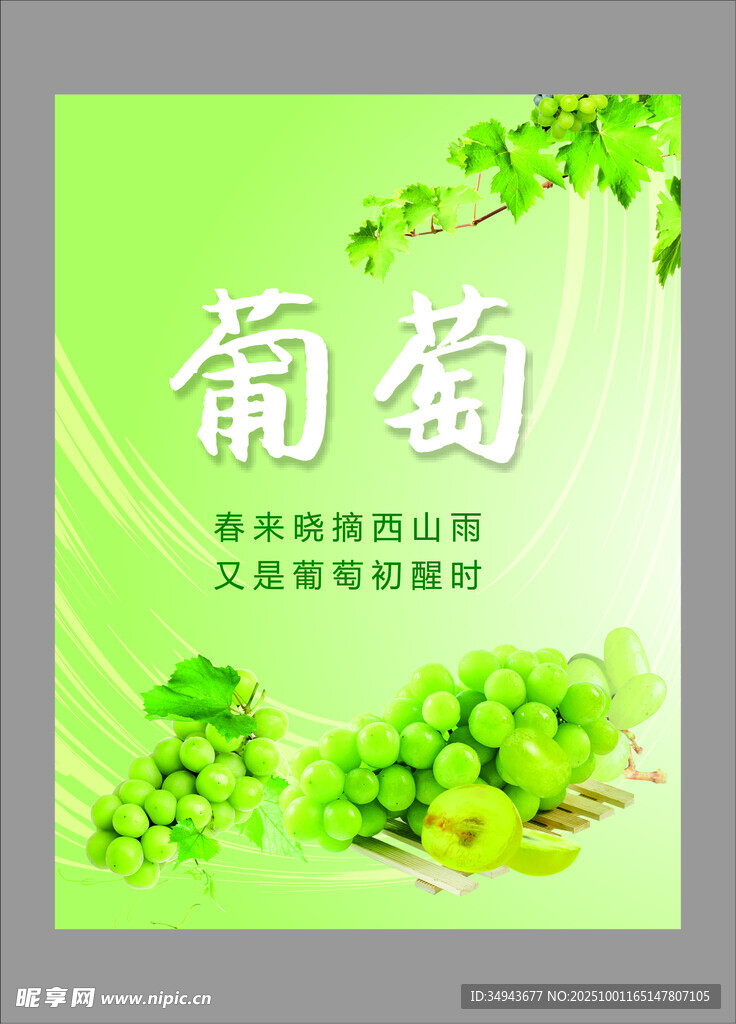 清新葡萄宣傳海報(bào)