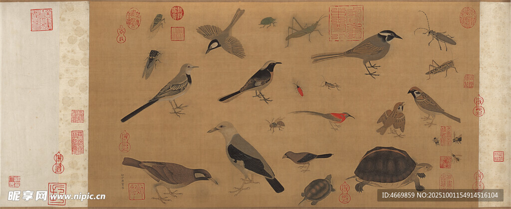 古代禽鳥圖繪