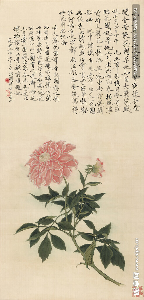 國(guó)畫牡丹圖