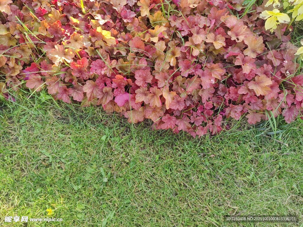 多彩植物與翠綠草地景觀