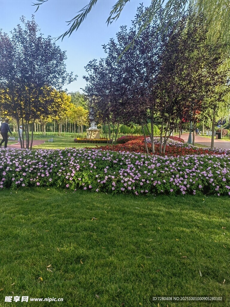 美麗公園綠地花卉景觀
