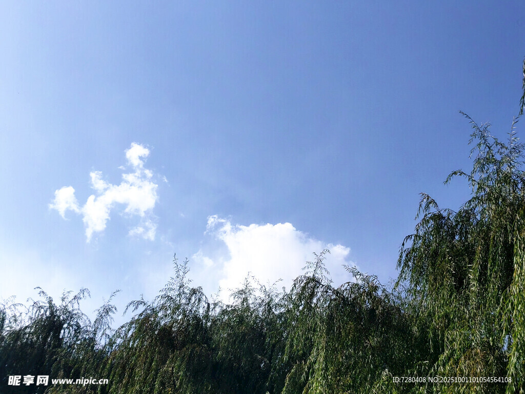 藍天綠樹間的悠然景致