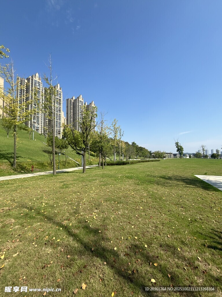 城市邊的綠地與高樓景觀