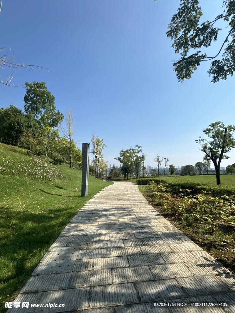 陽(yáng)光照耀下的林間漫步小徑