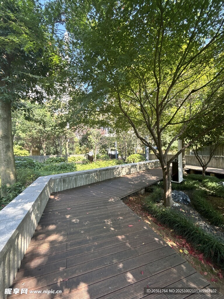 林間幽靜小徑景觀