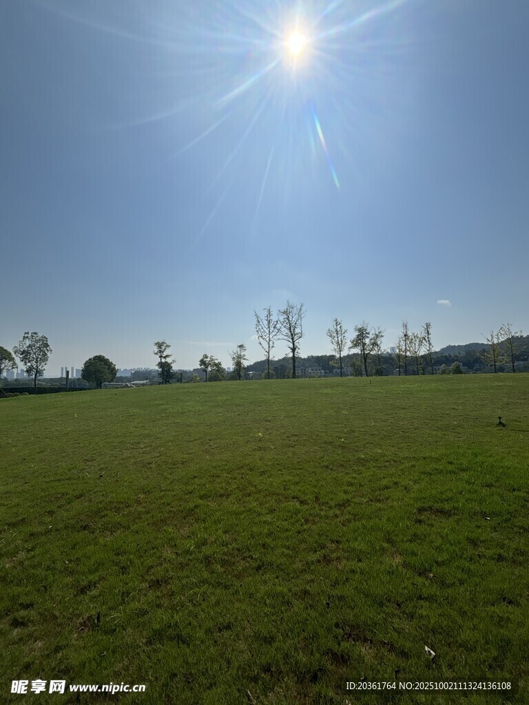 陽光照耀下的廣袤綠草地