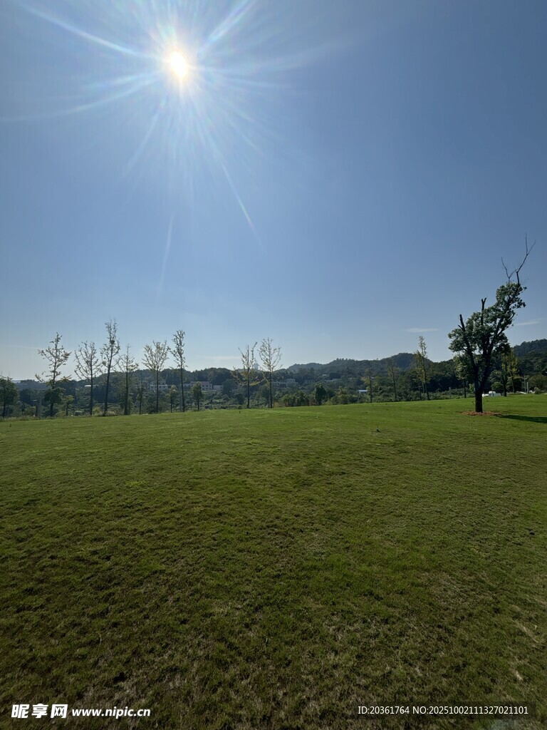 陽光照耀下的開闊綠草地