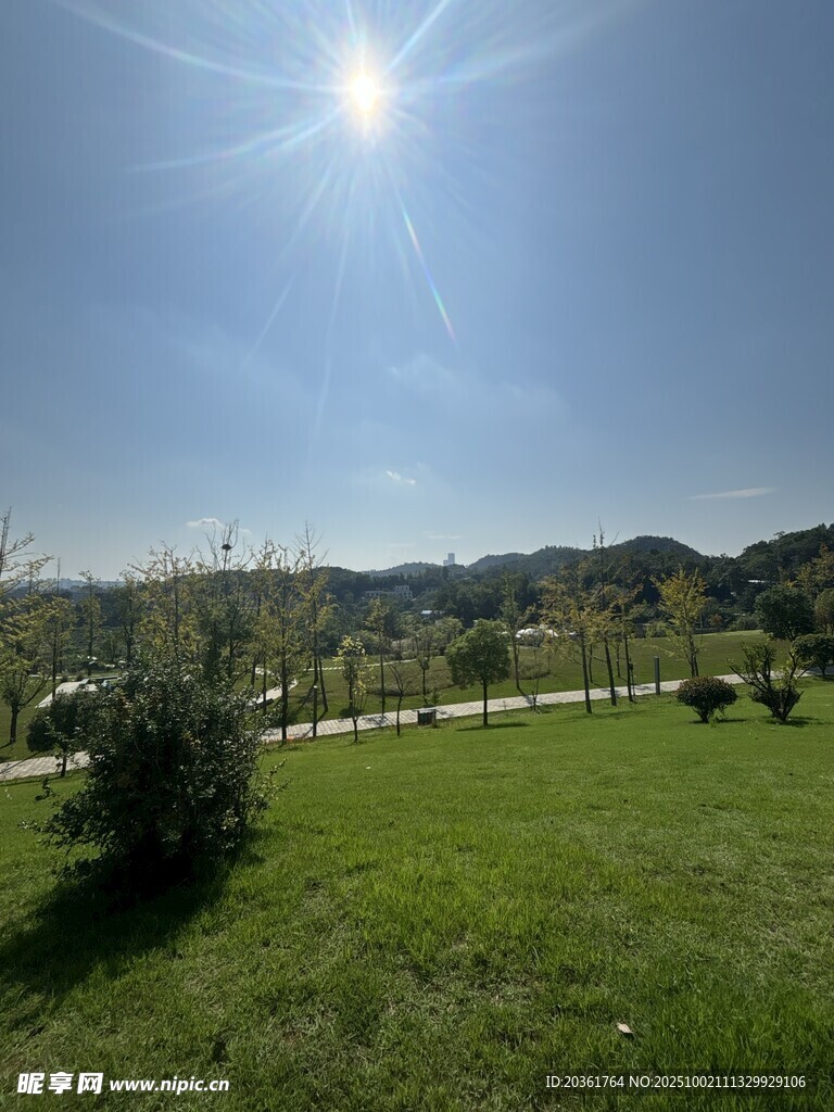 陽光照耀下的開闊綠地