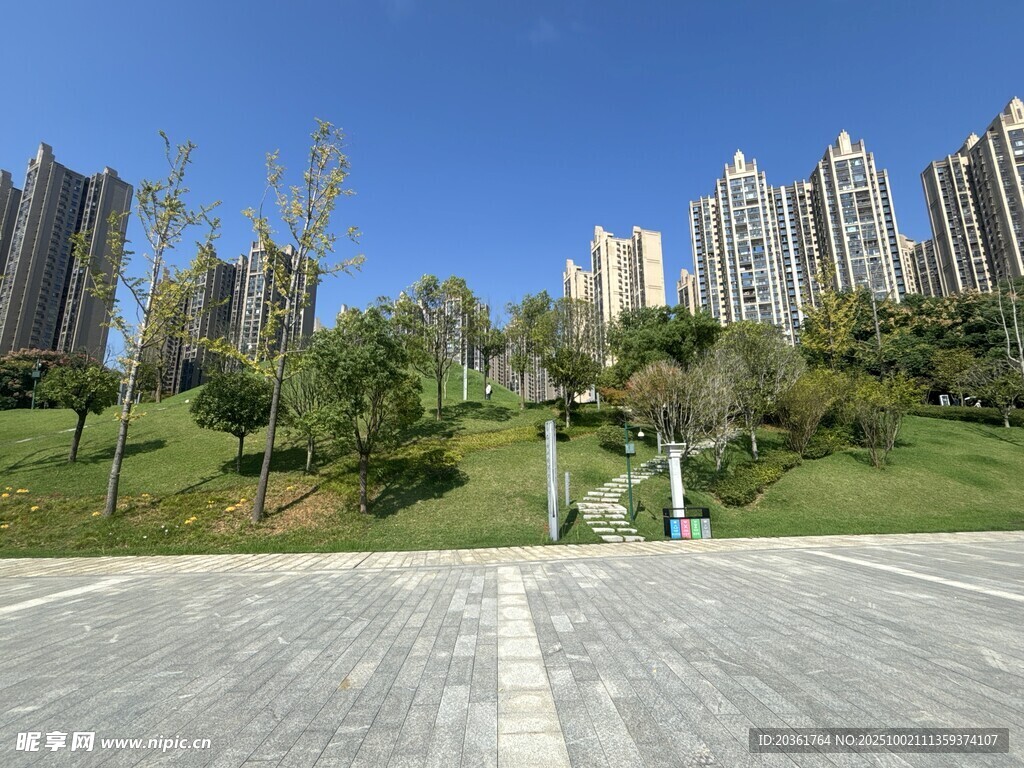 城市綠地旁的高樓景觀