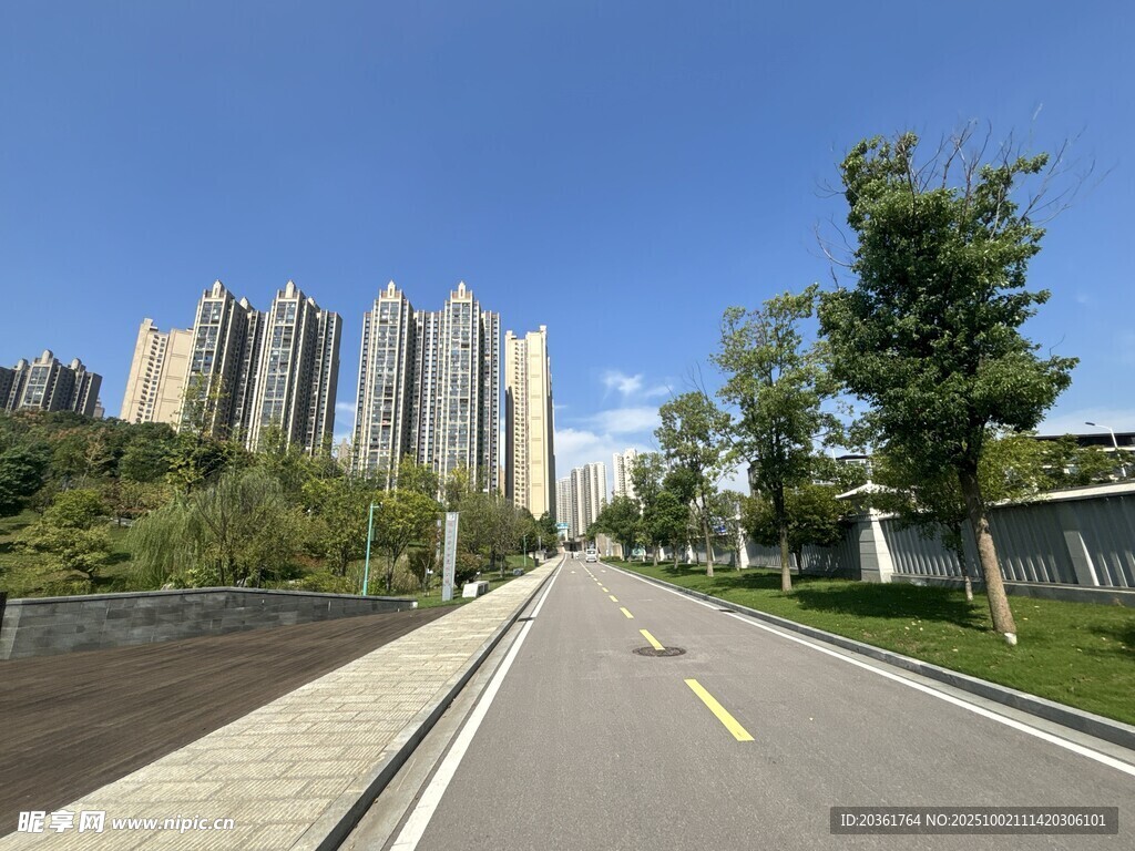 城市道路旁的高樓與綠樹