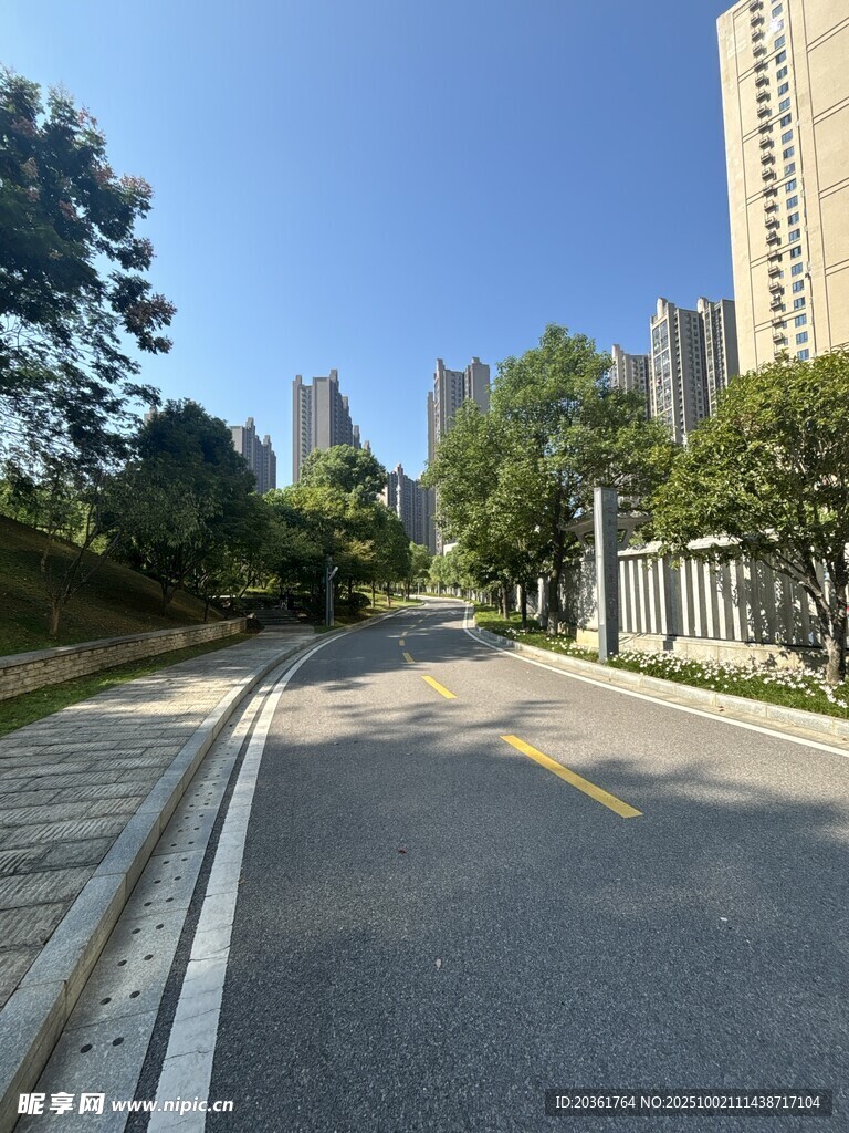 城市中寧?kù)o的林蔭道路