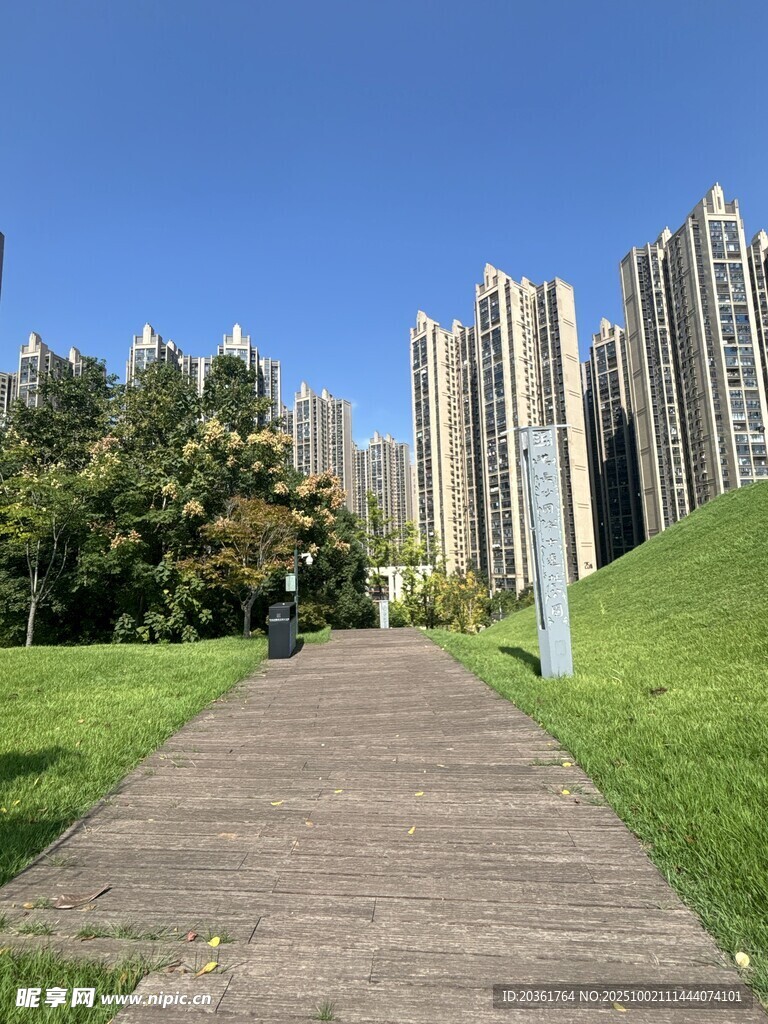 城市中通往高樓的綠蔭小徑