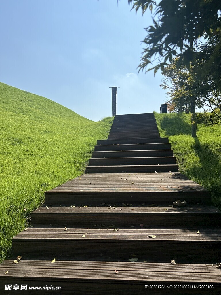 通往綠意的木質(zhì)階梯
