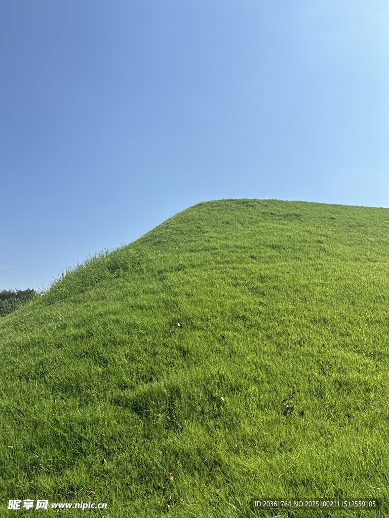 翠綠草坡
