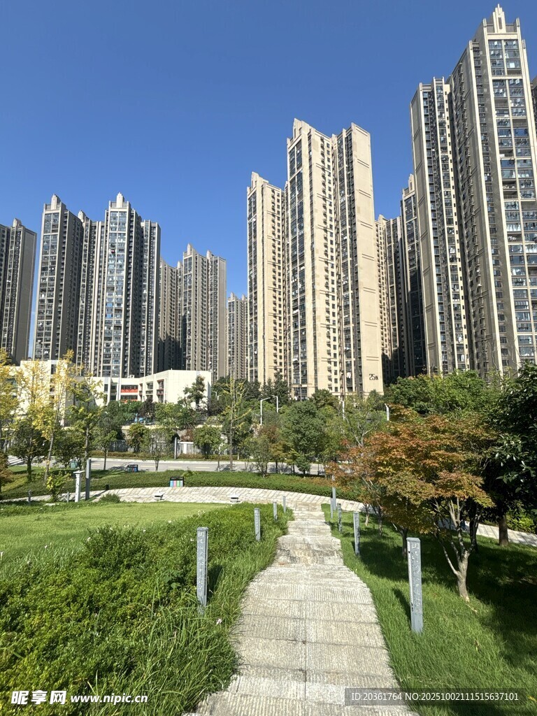 城市高樓旁的綠意小徑