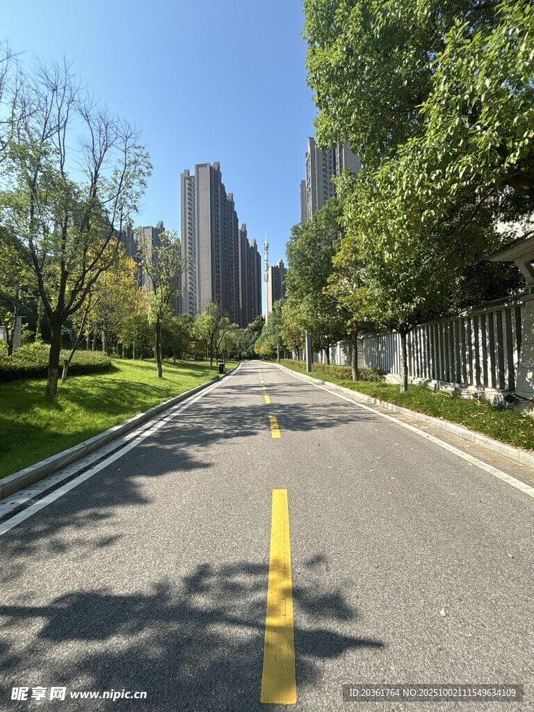 城市林蔭大道風景