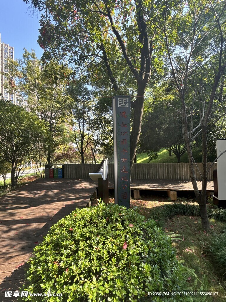 公園中的樹木與綠植景觀