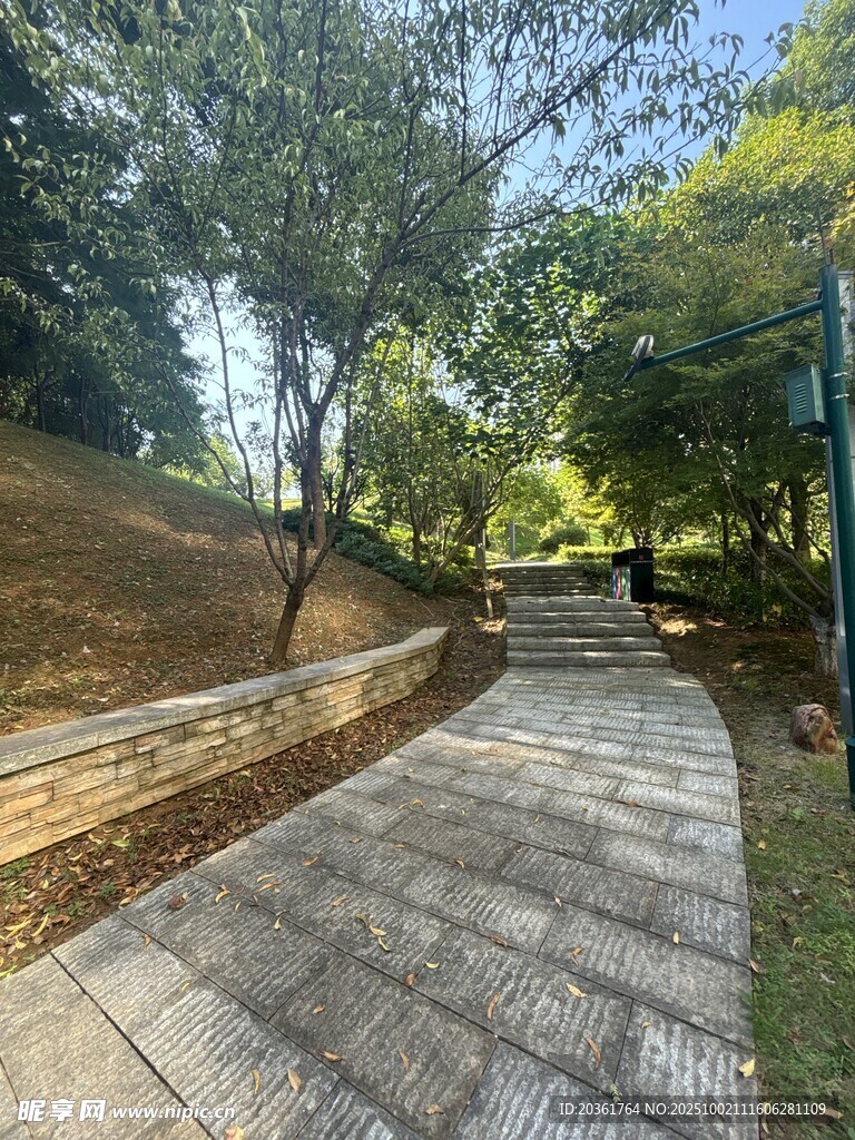 林間石徑
