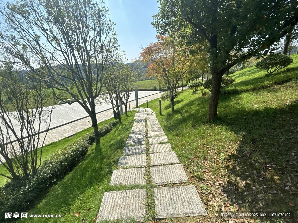 林間石板小徑