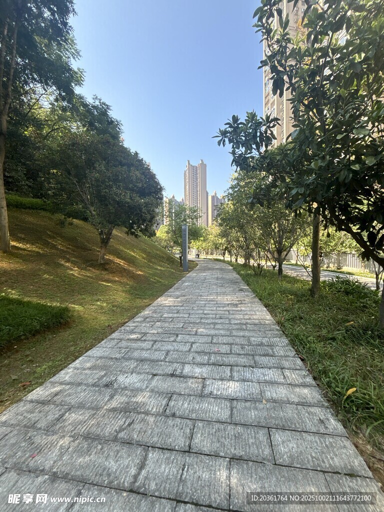 城市林間的靜謐石板小徑