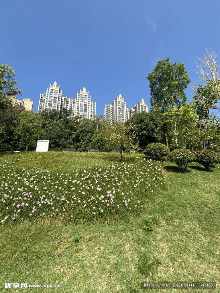 城市綠地中的建筑景觀