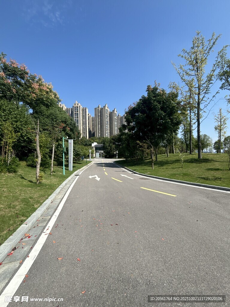 城市中的寧靜林蔭道路
