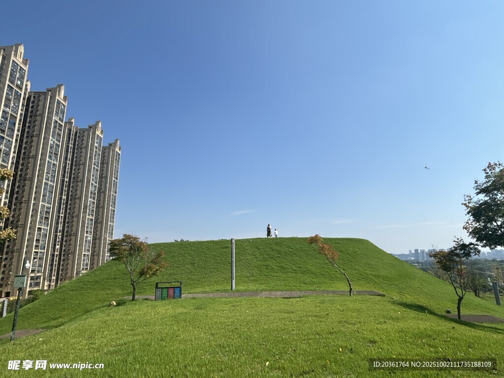城市綠地旁的高樓景觀
