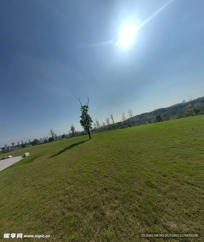 陽光照耀下的開闊綠草地