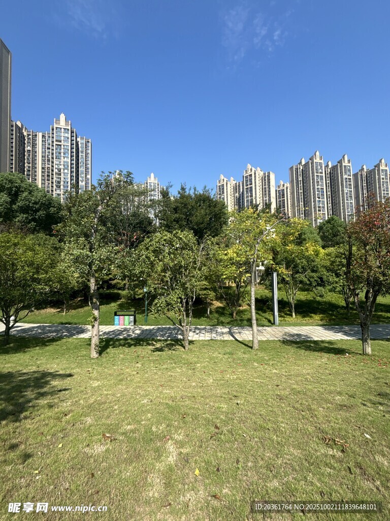 城市中的綠意公園景觀