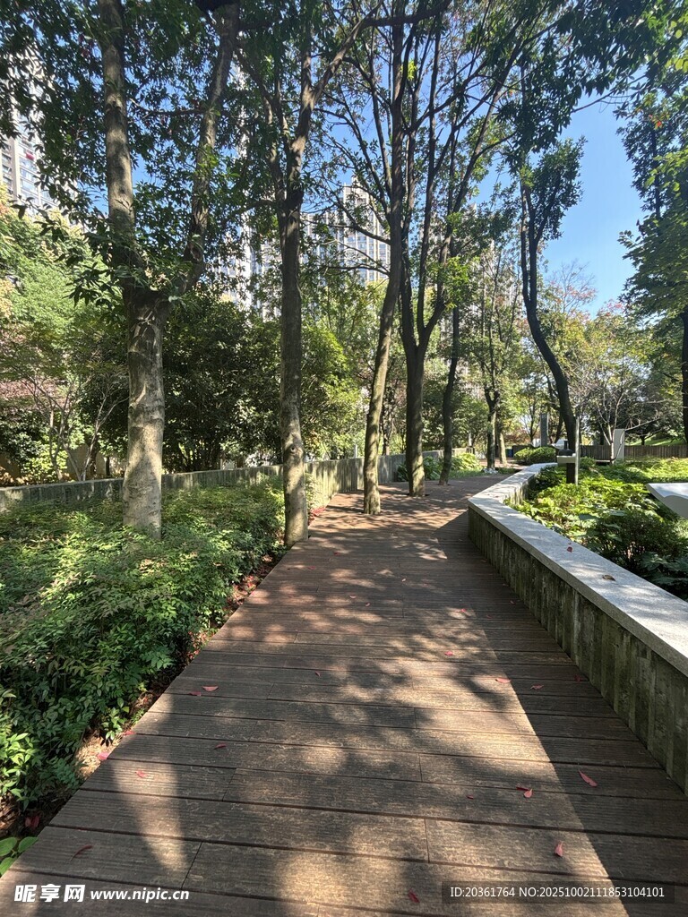 林間漫步小道