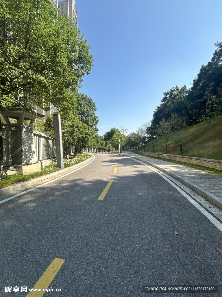 空曠道路旁綠樹(shù)成蔭