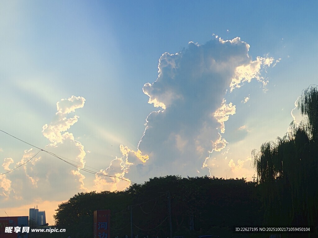 夕陽下的云朵與樹木