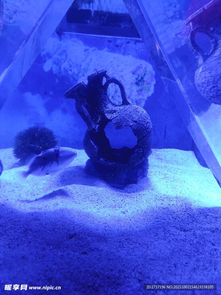水族館