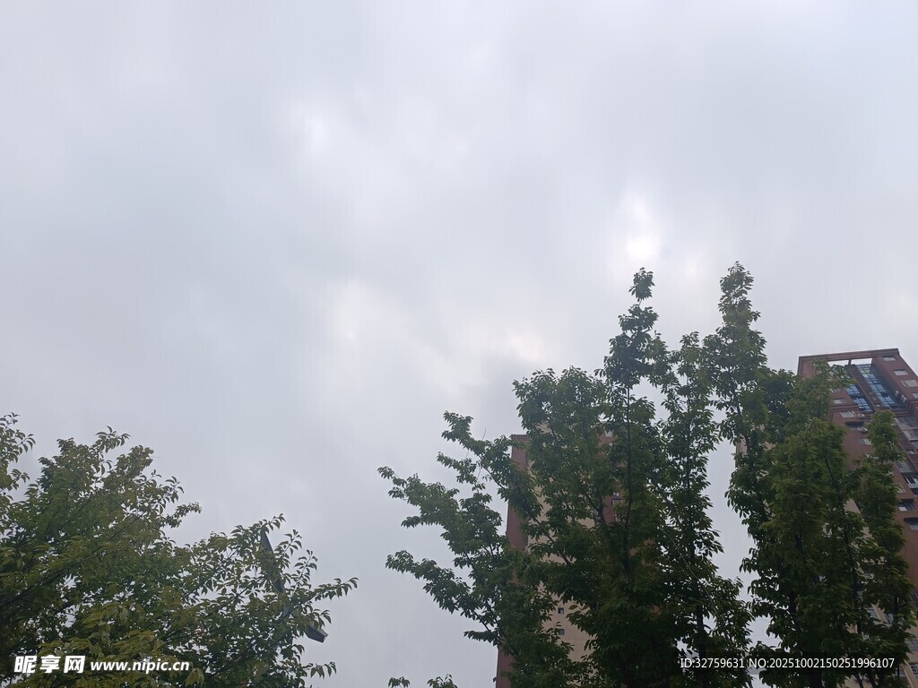 天空下的綠樹與建筑
