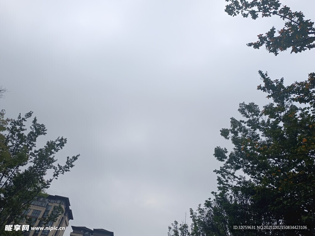 陰天中的樹木與建筑物